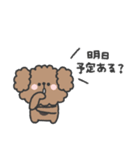 トイプードルさん◎年末年始 #2026（個別スタンプ：23）