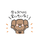 トイプードルさん◎年末年始 #2026（個別スタンプ：24）