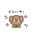 トイプードルさん◎年末年始 #2026（個別スタンプ：35）