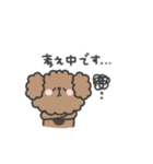 トイプードルさん◎年末年始 #2026（個別スタンプ：38）