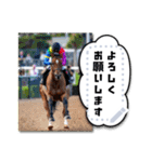 文字入力できる♥架空の競馬騎手＆ウマ（個別スタンプ：5）