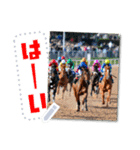 文字入力できる♥架空の競馬騎手＆ウマ（個別スタンプ：7）