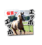 文字入力できる♥架空の競馬騎手＆ウマ（個別スタンプ：21）