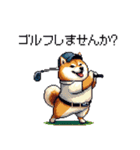 ゴルフ好きなふとっちょ柴犬 ファ～（個別スタンプ：1）