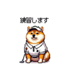 ゴルフ好きなふとっちょ柴犬 ファ～（個別スタンプ：4）