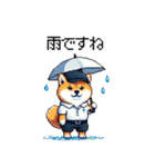 ゴルフ好きなふとっちょ柴犬 ファ～（個別スタンプ：5）