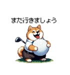 ゴルフ好きなふとっちょ柴犬 ファ～（個別スタンプ：10）