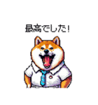 ゴルフ好きなふとっちょ柴犬 ファ～（個別スタンプ：12）