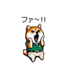 ゴルフ好きなふとっちょ柴犬 ファ～（個別スタンプ：13）