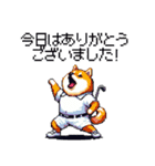 ゴルフ好きなふとっちょ柴犬 ファ～（個別スタンプ：24）
