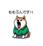 ゴルフ好きなふとっちょ柴犬 ファ～（個別スタンプ：39）