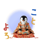 ペンギンの赤ちゃん❗️お正月＆クリスマス（個別スタンプ：4）