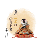 ペンギンの赤ちゃん❗️お正月＆クリスマス（個別スタンプ：6）