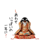 ペンギンの赤ちゃん❗️お正月＆クリスマス（個別スタンプ：7）