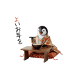 ペンギンの赤ちゃん❗️お正月＆クリスマス（個別スタンプ：9）