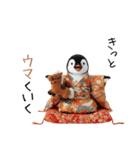 ペンギンの赤ちゃん❗️お正月＆クリスマス（個別スタンプ：15）