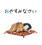 ペンギンの赤ちゃん❗️お正月＆クリスマス（個別スタンプ：18）