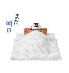 ペンギンの赤ちゃん❗️お正月＆クリスマス（個別スタンプ：29）