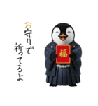 ペンギンの赤ちゃん❗️お正月＆クリスマス（個別スタンプ：38）