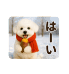 あけおめ♡ビジョンフリーゼ（個別スタンプ：3）