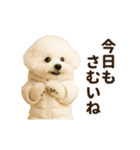 あけおめ♡ビジョンフリーゼ（個別スタンプ：5）