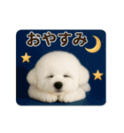 あけおめ♡ビジョンフリーゼ（個別スタンプ：10）