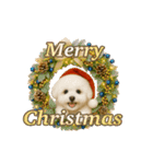 あけおめ♡ビジョンフリーゼ（個別スタンプ：13）