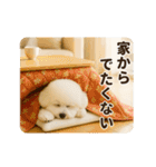 あけおめ♡ビジョンフリーゼ（個別スタンプ：14）