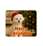 あけおめ♡ビジョンフリーゼ（個別スタンプ：17）