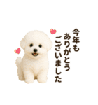 あけおめ♡ビジョンフリーゼ（個別スタンプ：19）