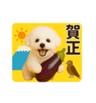 あけおめ♡ビジョンフリーゼ（個別スタンプ：23）