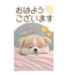 可愛い犬 カラフルニット帽 使える敬語 BIG（個別スタンプ：1）