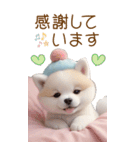 可愛い犬 カラフルニット帽 使える敬語 BIG（個別スタンプ：6）