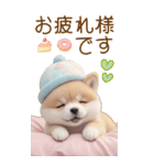 可愛い犬 カラフルニット帽 使える敬語 BIG（個別スタンプ：11）