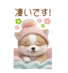 可愛い犬 カラフルニット帽 使える敬語 BIG（個別スタンプ：13）