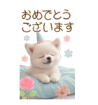 可愛い犬 カラフルニット帽 使える敬語 BIG（個別スタンプ：14）