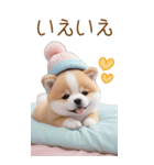 可愛い犬 カラフルニット帽 使える敬語 BIG（個別スタンプ：15）