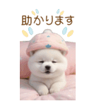 可愛い犬 カラフルニット帽 使える敬語 BIG（個別スタンプ：18）