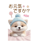 可愛い犬 カラフルニット帽 使える敬語 BIG（個別スタンプ：19）
