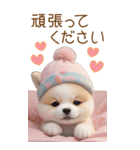 可愛い犬 カラフルニット帽 使える敬語 BIG（個別スタンプ：20）