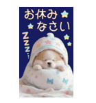 可愛い犬 カラフルニット帽 使える敬語 BIG（個別スタンプ：31）