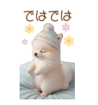 可愛い犬 カラフルニット帽 使える敬語 BIG（個別スタンプ：32）