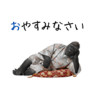 シルバーバックのお正月＆クリスマス（個別スタンプ：18）