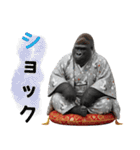 シルバーバックのお正月＆クリスマス（個別スタンプ：25）