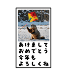 マーモットのBIG年賀状（個別スタンプ：2）
