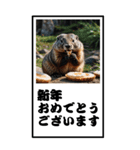 マーモットのBIG年賀状（個別スタンプ：11）