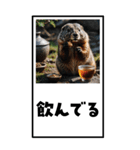 マーモットのBIG年賀状（個別スタンプ：20）