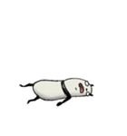 1年中使える豆パンダ【大人丁寧】（個別スタンプ：15）