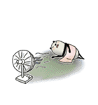 1年中使える豆パンダ【大人丁寧】（個別スタンプ：34）