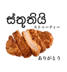 国産鶏のチキンカツ【シンハラ語】（個別スタンプ：1）